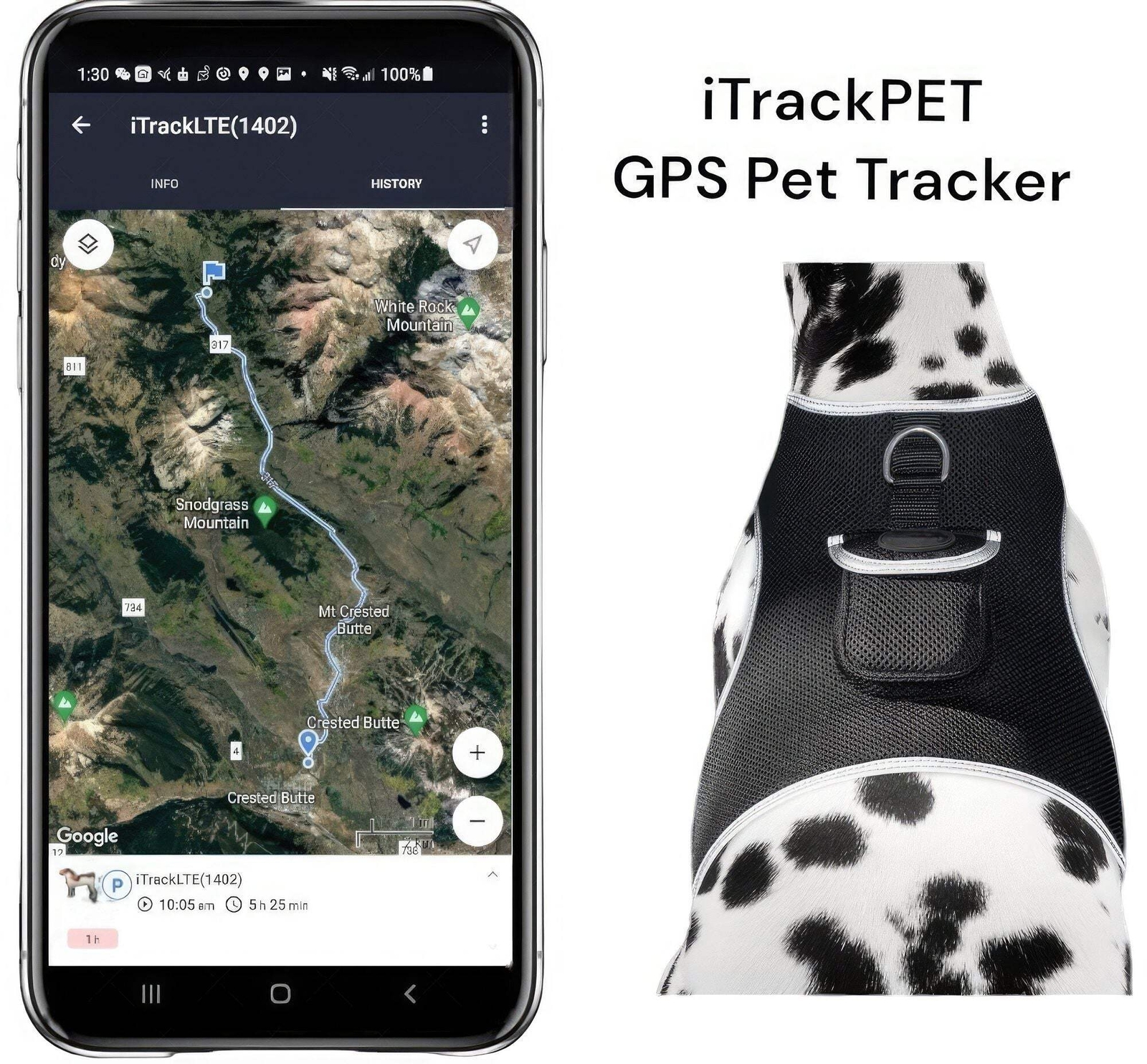 Waterproof Collar Mount Tracker Realtime GPS GSM Puppy Tracking Device Size:L
