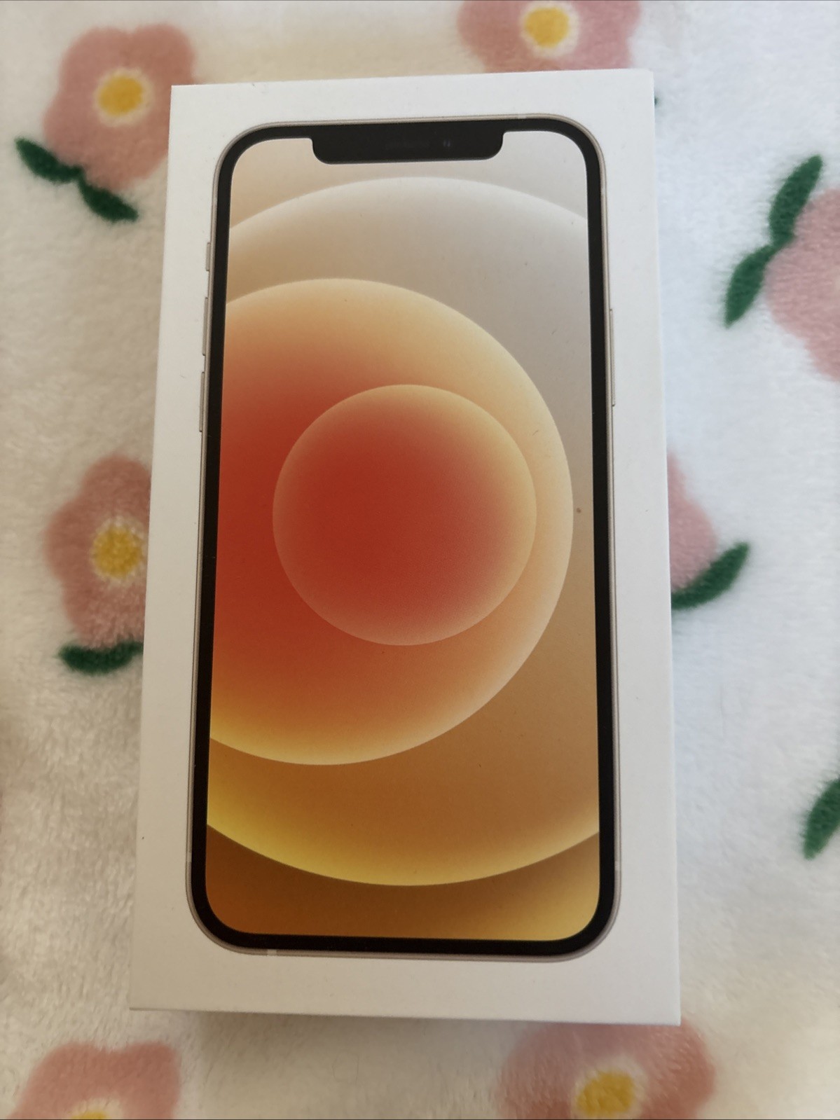 iPhone 12 read description please