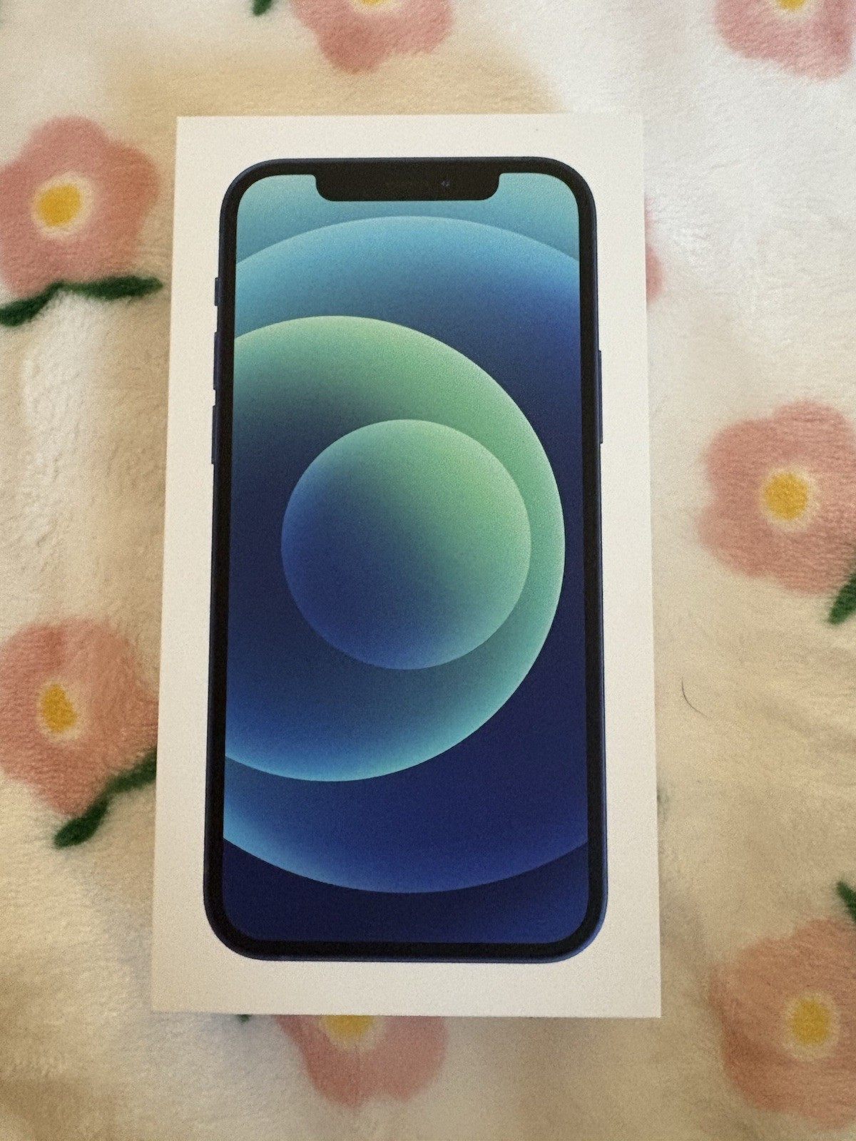 iPhone 12 read description please