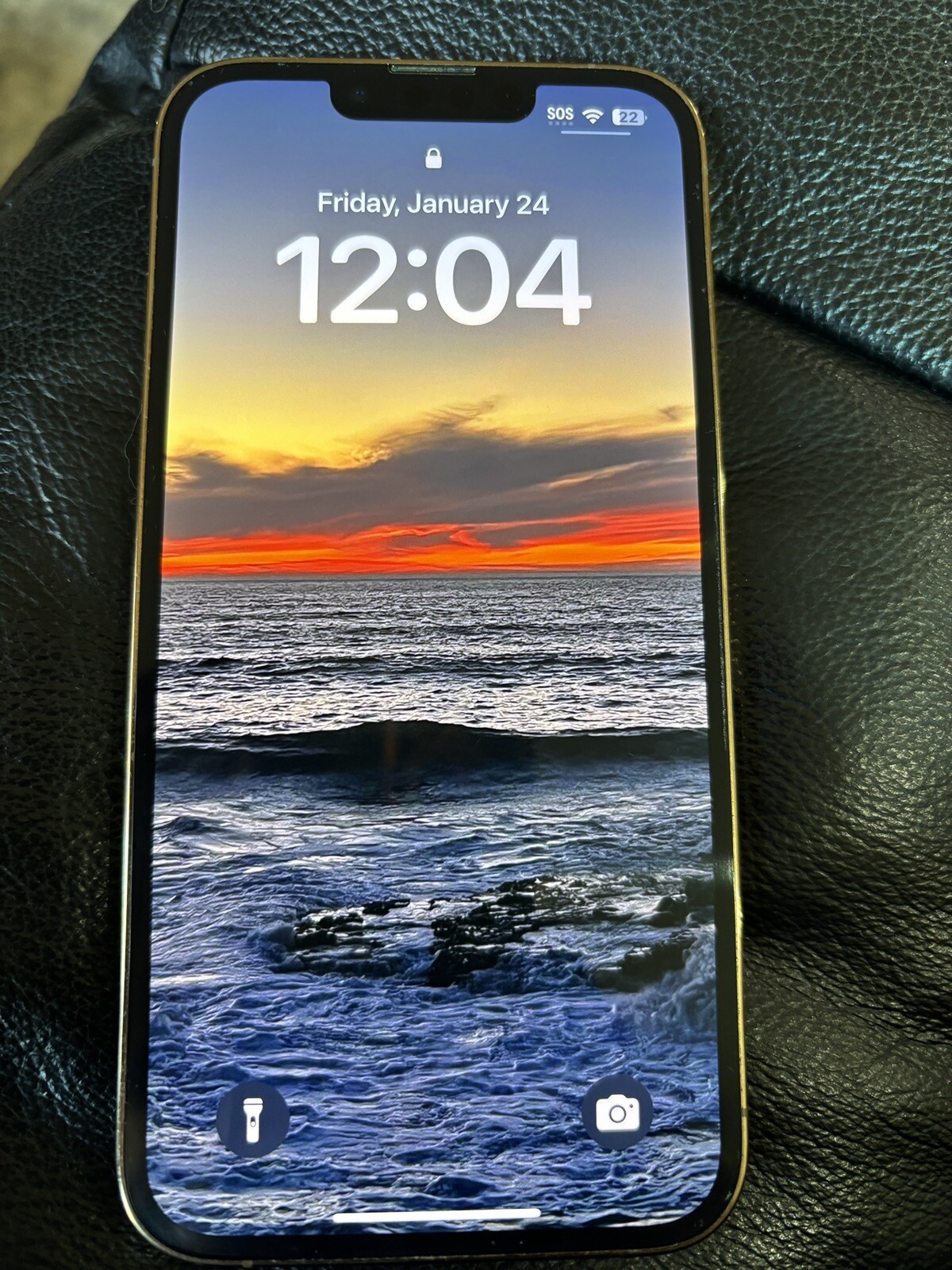 iPhone 13 Pro Unlocked 256gb TikTok App