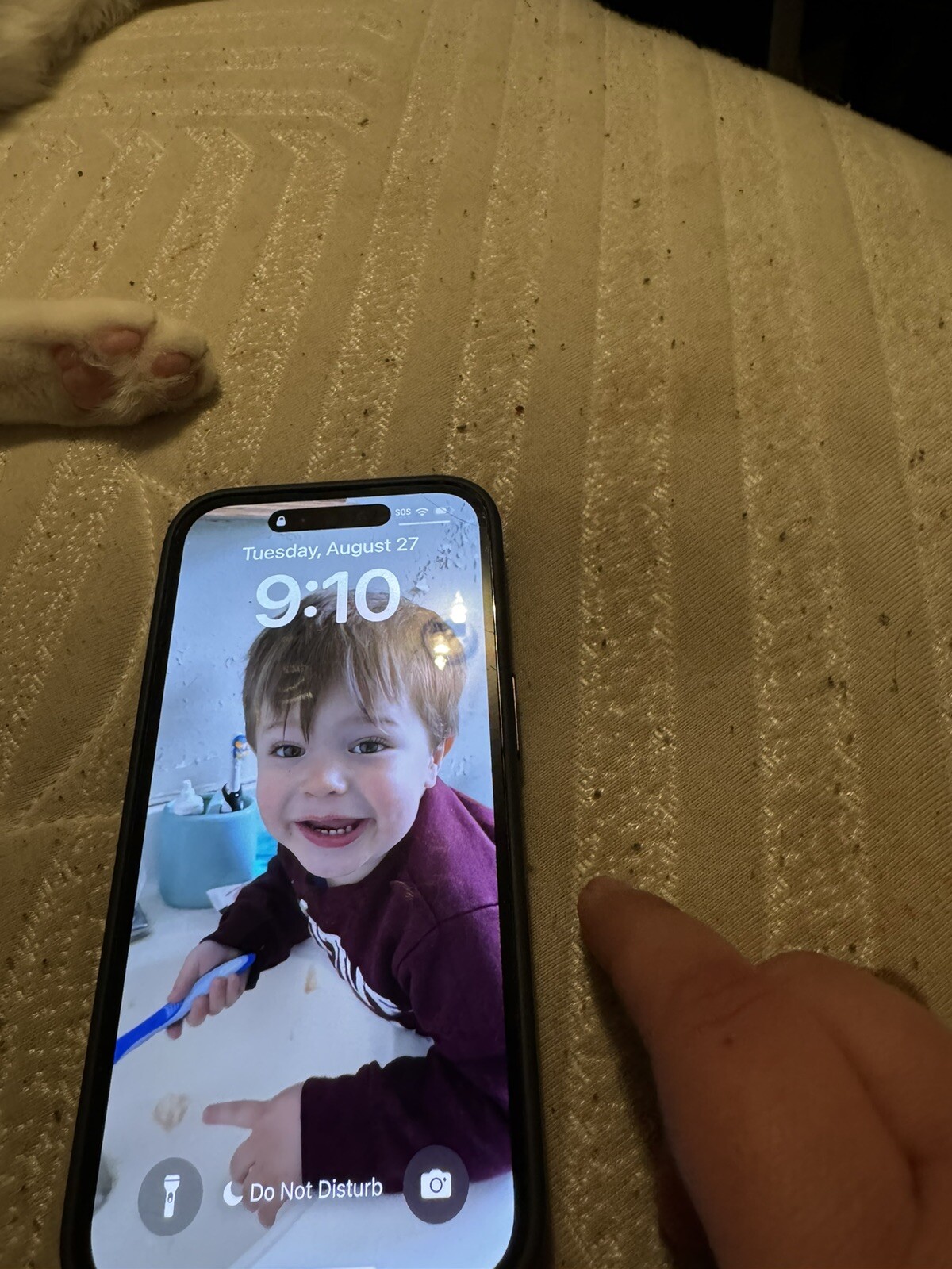 Apple iPhone 14 Pro – 128 GB – Black (Spectrum)