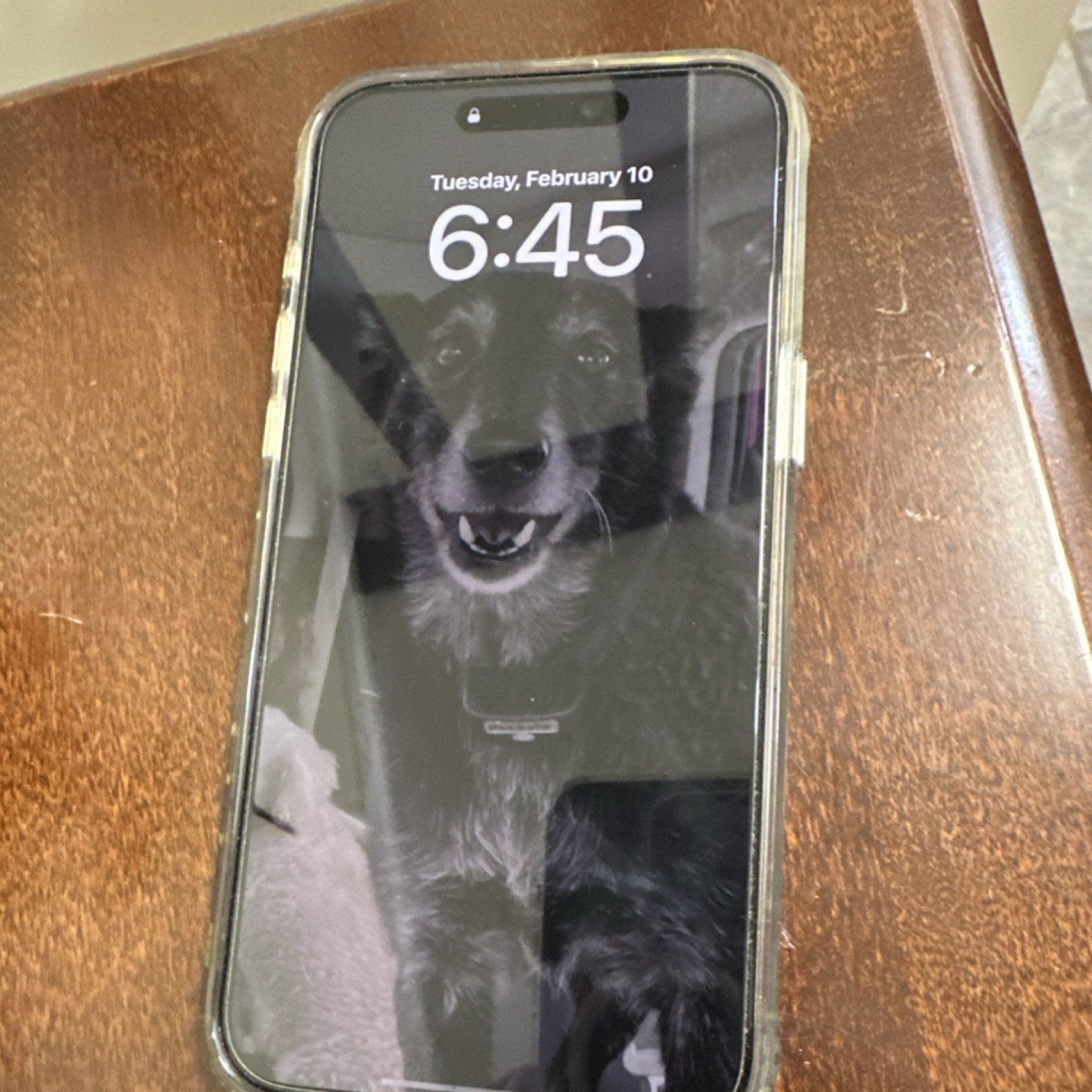 Apple phone with cover